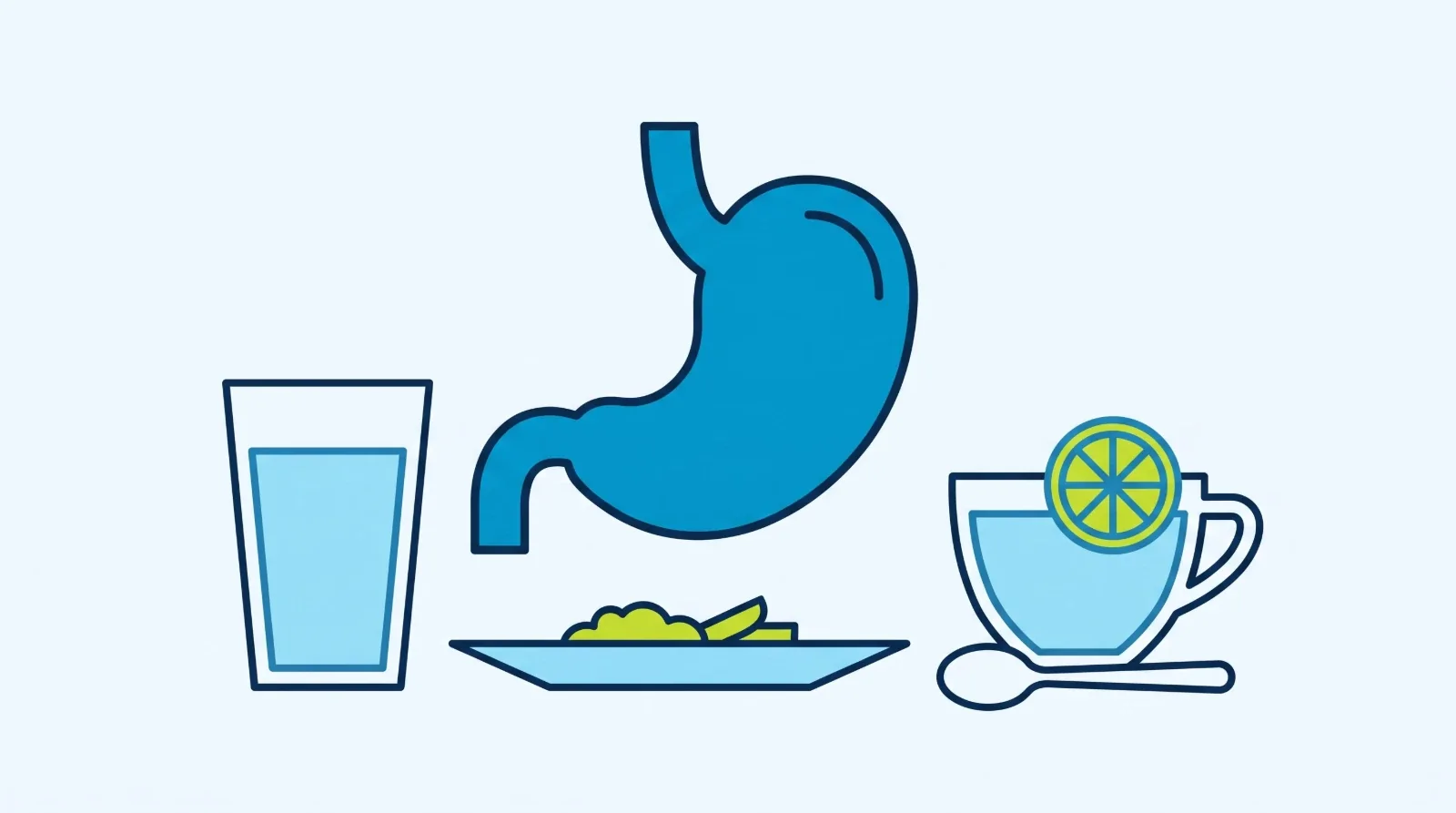 Illustration: a stomach, a glass of water, a small plate of food and a cup of lemon tea